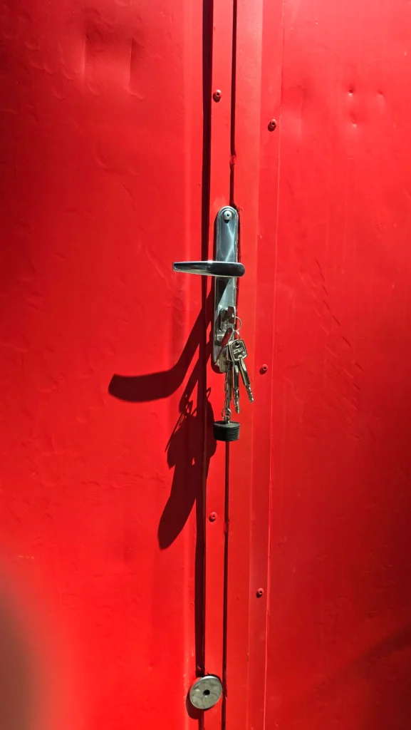 LANCHERIA EM CONTAINER PERSONALIZADA DOG DO BEBE (12)