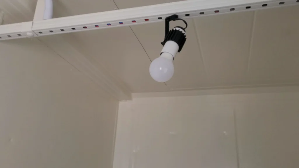 vinicula em container10